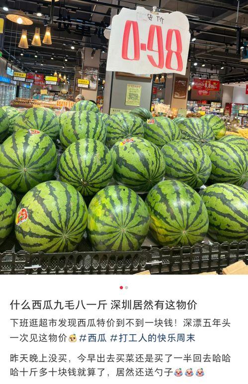 东莞八中吃瓜,揭秘校园里的“瓜田”风云