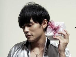 明星奋斗,明星奋斗之路的辉煌历程