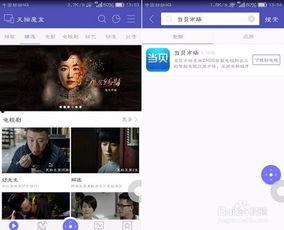 炳哥直播爆料视频下载安装,下载安装过程全解析