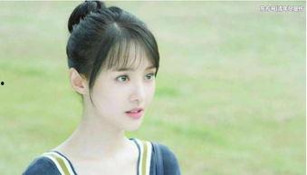 上明星小说郑爽,娱乐圈的璀璨星辰