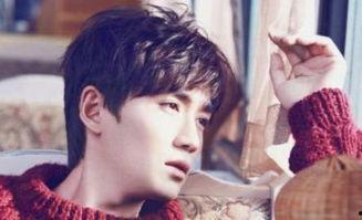 男明星sao受,揭秘男明星的性感魅力之旅