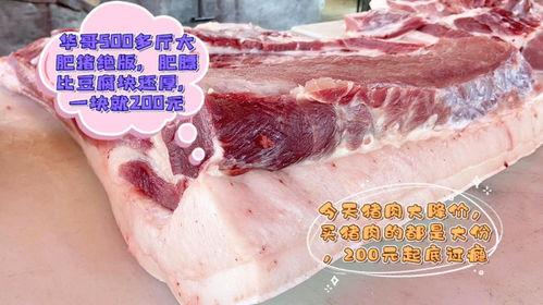 国产网红上海肥猪哥,国产网红的崛起与影响力