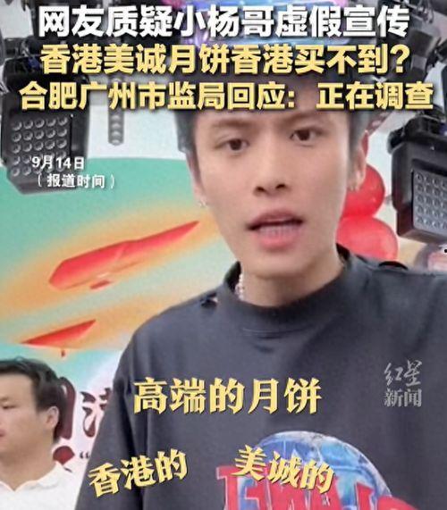 小杨哥爱情爆料视频大全,揭秘视频大全中的甜蜜瞬间