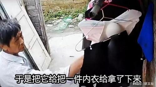 桂林偷胸罩爆料事件最新,真相揭秘与公众舆论风暴