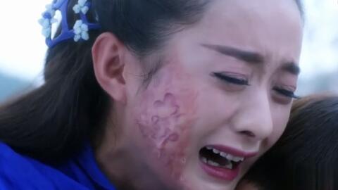 女明星毁容,美丽背后的代价与反思