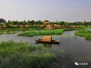 潍水田园微头条图片,诗意栖息的生态画卷
