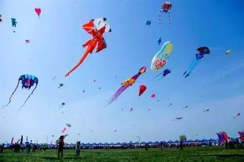 网红风筝断了线福利图,捕捉瞬间美好，见证网络奇观