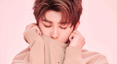 流量肇事逃逸的明星,流量明星因流量肇事逃逸引发社会热议